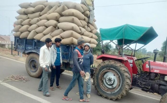 Strict Illegal Paddy: 3 tractors seized once again for consuming illegal paddy in Sarangarh