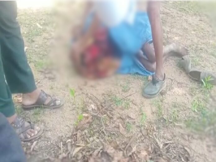 Brothers Killing: A heart-wrenching case from Kawardha district… 2 brothers-in-law were dancing with sister-in-law in the wedding house… Angry husband killed the brothers