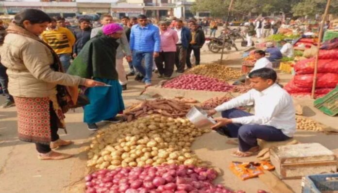 Korba: ऐसी सब्जियां भी खूब... जिम्मेदारों ने साधा मौन