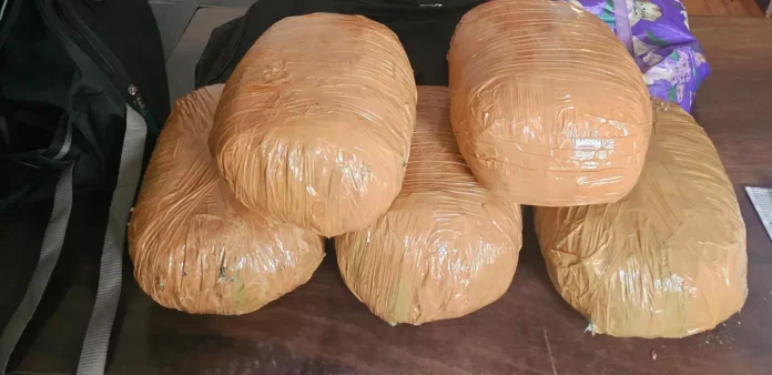 4117505-untitled-7-copy