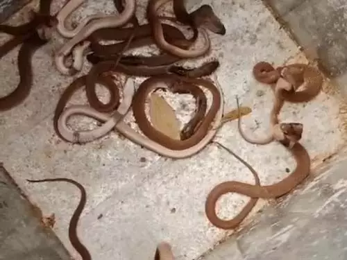 4709614-untitled-12-copy