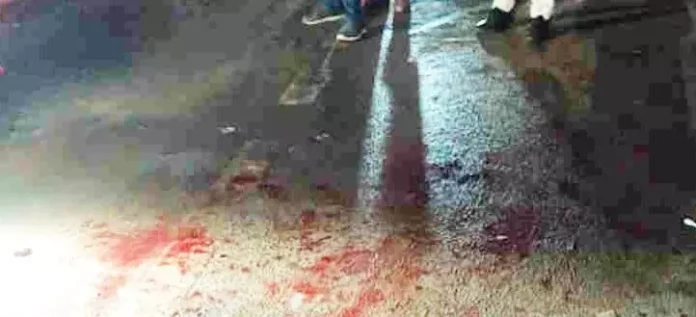 4719865-untitled-27-copy