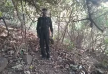 नक्सलियों को बड़ा झटका, केंद्रीय समिति सदस्य सहदेव मुठभेड़ में मारा गया