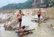 गरियाबंद में ‘पुष्पा-स्टाइल’ सागौन तस्करी का पर्दाफाश, नदी में बहा रहे थे लकड़ियां – वन विभाग की सतर्कता से असफल हुई चाल