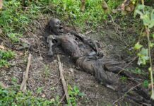 झाड़ियों के बीच मिला नर कंकाल अचानक भागीं बकरियों से खुला राज़