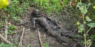 झाड़ियों के बीच मिला नर कंकाल अचानक भागीं बकरियों से खुला राज़