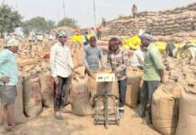 छत्तीसगढ़ में समर्थन मूल्य पर धान खरीदी का जोर, किसानों को भुगतान भी शुरू