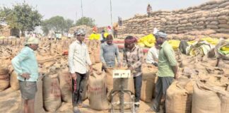 छत्तीसगढ़ में समर्थन मूल्य पर धान खरीदी का जोर, किसानों को भुगतान भी शुरू