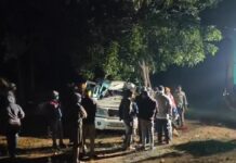 कुदरगढ़ दर्शन से लौट रहे श्रद्धालुओं की बोलेरो पेड़ से भिड़ी, एक की मौत—चार गंभीर