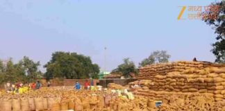 अवैध धान कारोबार पर प्रशासन का बड़ा वार, करोड़ों का माल जब्त