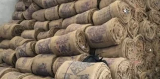 बारदाना बाहर ले जाते पकड़ा गया वाहन, चपोरा केंद्र में कार्रवाई की गूँज—तीन कर्मचारी सस्पेंड