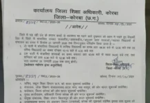 बढ़ती ठंड का असर: कोरबा में सभी स्कूलों के समय में बड़ा फेरबदल