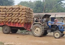 अवैध धान पर बड़ी कार्रवाई: 11 हजार क्विंटल से अधिक धान जब्त, 46 वाहन सीज़