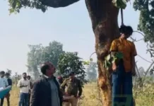 जंगल से युवती की संदिग्ध मौत, पेड़ से लटका मिला शव