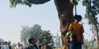 जंगल से युवती की संदिग्ध मौत, पेड़ से लटका मिला शव