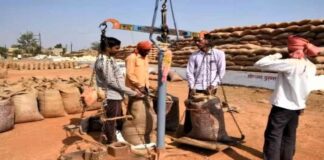 छत्तीसगढ़ में MSP पर धान खरीदी तेज, 87 लाख टन से अधिक की आवक, किसानों को ₹7,771 करोड़ का भुगतान