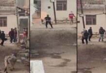 दिनदहाड़े खुलेआम गुंडागर्दी, कट्टों से ताबड़तोड़ फायरिंग