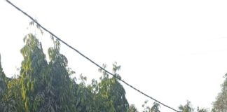 जमनीपाली NTPC गेट के पास इनोवा क्रिस्टा बेकाबू, ग्रीन पार्क होटल की दीवार ध्वस्त