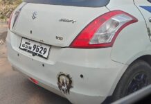 कोरबा रेलवे फाटक के पास दिखी संदिग्ध नंबर प्लेट वाली कार, RTO-ट्रैफिक की कार्यप्रणाली पर गंभीर सवाल