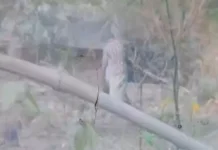 शराब के नशे में पति ने की पत्नी की निर्मम हत्या, बच्चों ने बनाया वीडियो—आरोपी गिरफ्तार