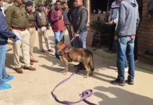 कोरबा : गनियारी गांव में पड़ोसी की बेरहमी से हत्या, डॉग स्क्वायड की मदद से आरोपी गिरफ्तार