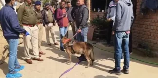 कोरबा : गनियारी गांव में पड़ोसी की बेरहमी से हत्या, डॉग स्क्वायड की मदद से आरोपी गिरफ्तार