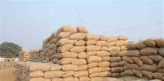 कोरबा में 16.44 लाख क्विंटल से अधिक धान की खरीदी, 65 केंद्रों पर जारी उपार्जन कार्य