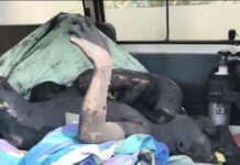 बलौदाबाजार में स्पंज आयरन प्लांट हादसा: जोरदार विस्फोट से 6 मजदूरों की मौत, कई घायल