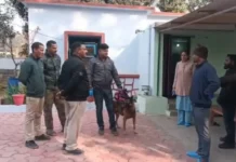 कोरबा में रिटायर्ड एएसआई के सूने मकान में बड़ी चोरी बेटी की शादी के लिए रखे करीब 10 लाख के जेवरात उड़ा ले गए चोर