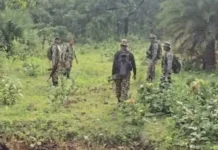 बीजापुर में नक्सलियों की बड़ी साजिश नाकाम कर्रेगुट्टा हिल्स में IED ब्लास्ट, 11 जवान घायल