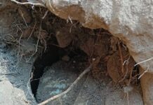 दंतेवाड़ा के जंगलों में नक्सल साजिश नाकाम, सुरक्षा बलों ने आईईडी डंप किया ध्वस्त