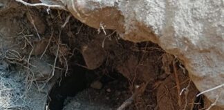 दंतेवाड़ा के जंगलों में नक्सल साजिश नाकाम, सुरक्षा बलों ने आईईडी डंप किया ध्वस्त