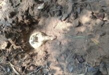 कांकेर–नारायणपुर सीमा पर नक्सल साजिश नाकाम, 9 आईईडी बरामद कर निष्क्रिय