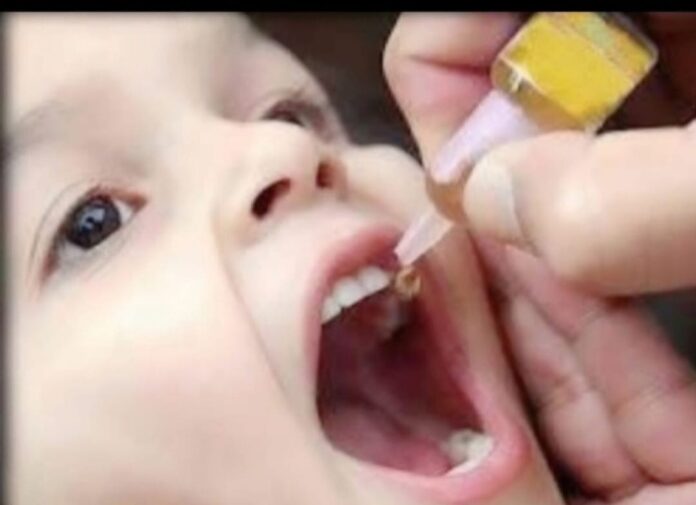 bfd41eb5-0cd5-4fd0-9098-6b72831d5378