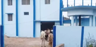 महानदी नल जल योजना के ठेकेदार की संदिग्ध मौत, फिल्टर प्लांट में मिला शव