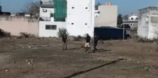 कोरबा: दादरखुर्द रोड पर सूने घर में सेंधमारी, लाखों के जेवर लेकर फरार हुए चोर