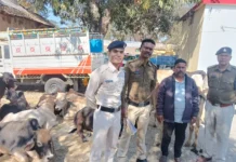 ऑपरेशन शंखनाद के तहत बड़ी कार्रवाई: 32 गौवंश छुड़ाए, मवेशी तस्कर गिरफ्तार