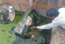 पानी की टंकी से बक्से में मिला महिला का शव, इलाके में सनसनी