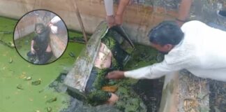 पानी की टंकी से बक्से में मिला महिला का शव, इलाके में सनसनी