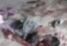 कोरबा में घरेलू विवाद ने लिया खौफनाक रूप, पति ने पत्नी समेत मां-बहन पर किया जानलेवा हमला