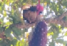 कोरबा के धमनागुड़ी गांव में किशोरी की मौत से शोक, पुलिस जांच में जुटी