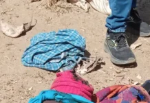 बांधपाली में रहस्यमयी मौत, गोठान के पास मिला अधेड़ का जला हुआ शव