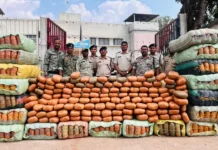 कवर्धा में 5 करोड़ का गांजा पकड़ा: कंटेनर के गुप्त चैंबर से 9 क्विंटल बरामद, एक तस्कर गिरफ्तार