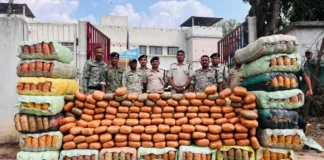 कवर्धा में 5 करोड़ का गांजा पकड़ा: कंटेनर के गुप्त चैंबर से 9 क्विंटल बरामद, एक तस्कर गिरफ्तार