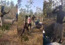 नर्सरी परिसर में हंगामा: फॉरेस्ट गार्ड से मारपीट, वीडियो सोशल मीडिया पर वायरल