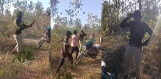 नर्सरी परिसर में हंगामा: फॉरेस्ट गार्ड से मारपीट, वीडियो सोशल मीडिया पर वायरल