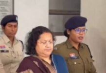 सौम्या चौरसिया को हाईकोर्ट से जमानत, शराब घोटाला मामले में मिली राहत