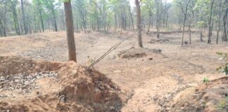 लेमरू हाथी रिजर्व में तालाब निर्माण पर घोटाले के आरोप, 16 लाख का काम एक हफ्ते में निपटाने का दावा