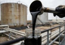 कच्चे तेल पर निर्भरता घटाने की पहल: पेट्रोल में 30% तक एथनॉल मिश्रण का प्रस्ताव