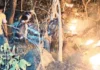 जंगल में भीषण आग, बुझाने में जुटा वन विभाग; हड़ताल के बीच बढ़ी चुनौती